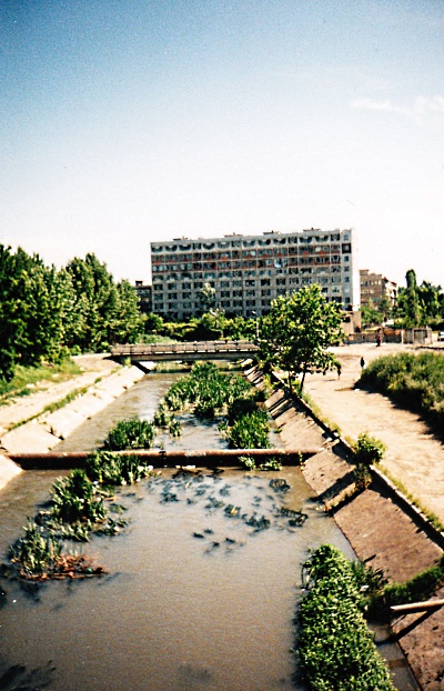 Image Image